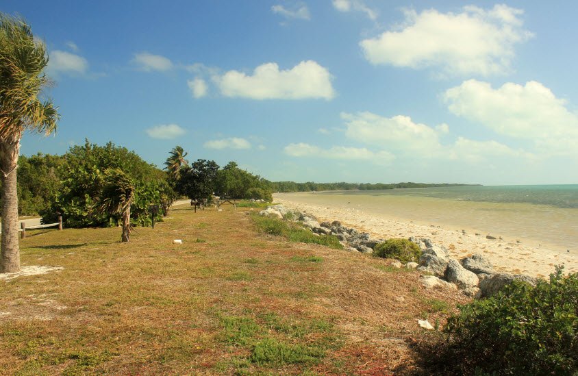 Long Key State Park, Florida, USA